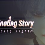 A fascinating story : Wedding Night